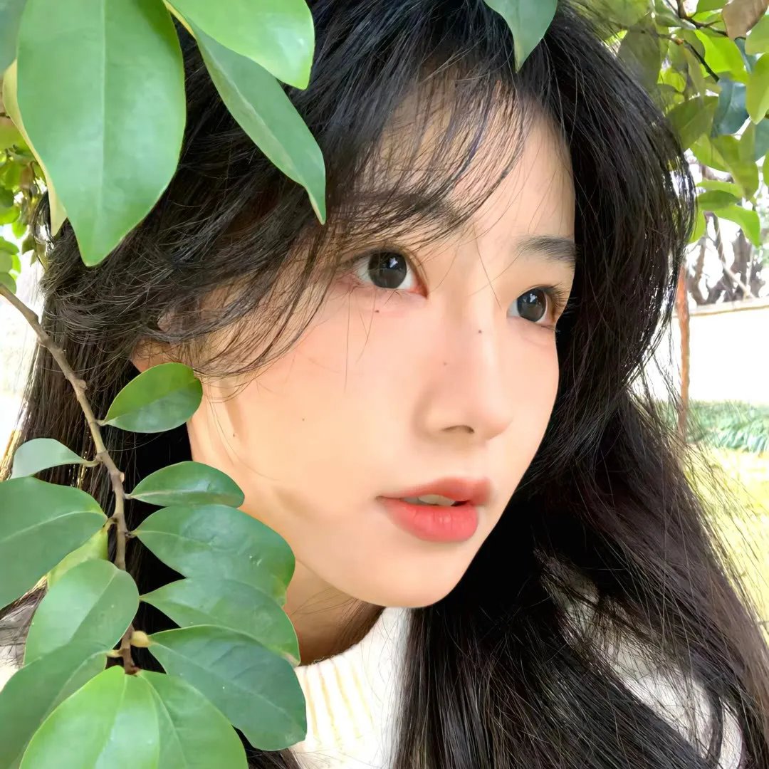 骷髅头